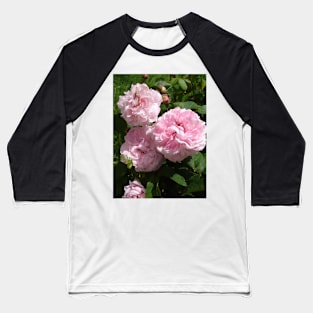 Rose Flower Blush Pink Baseball T-Shirt